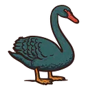Black Swan