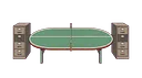 Ping Pong Table