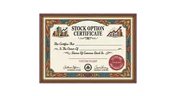 Stock Options