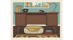 Pet-Friendly Office